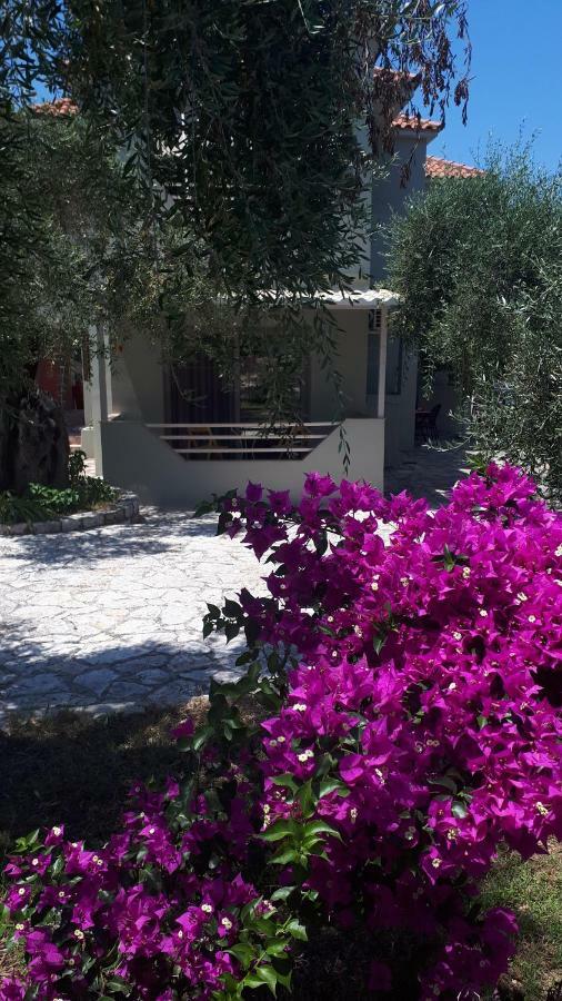 Sivota Apartments Parthenia Extérieur photo